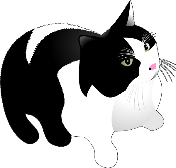 白黒の猫 イラスト画像