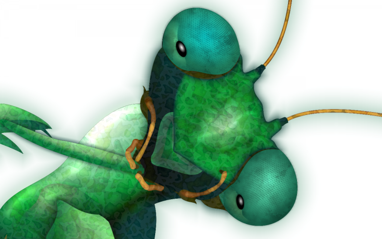 なぜクロゴケグモの毒はこれほど強力なのでしょうか?